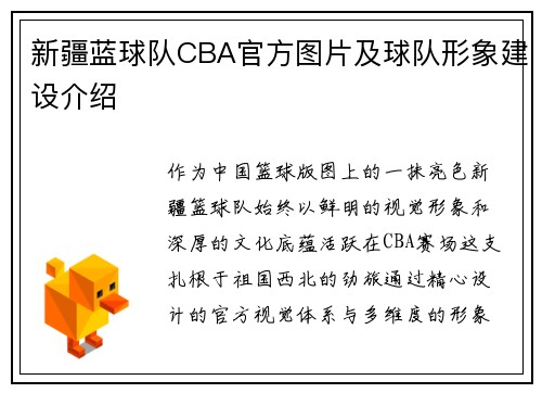 新疆蓝球队CBA官方图片及球队形象建设介绍